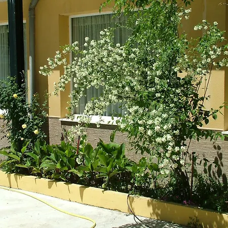 Rio Piscina Priego de Córdoba