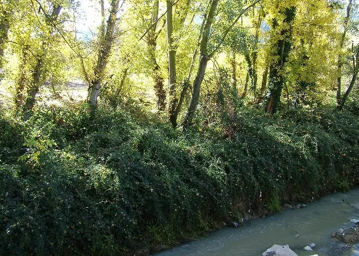 Rio Piscina מלון 2*